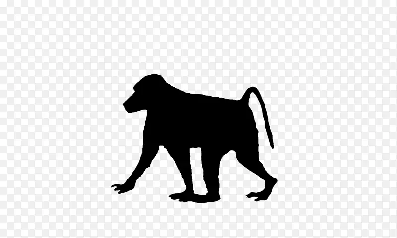犬种狒狒-平头龙