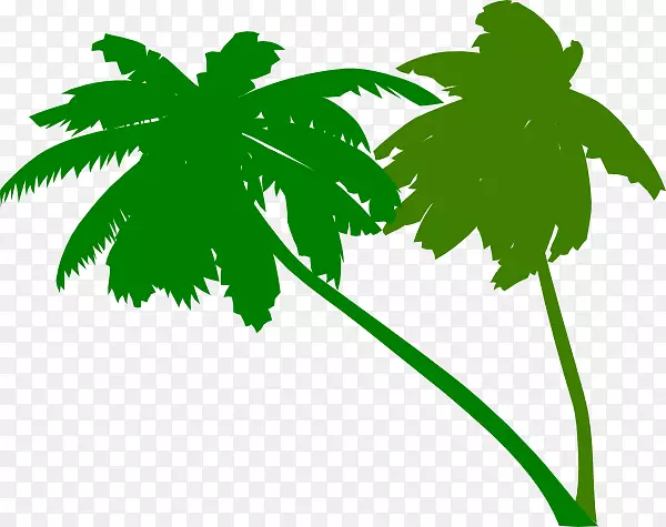 槟榔科树木剪贴画-绿棕榈叶