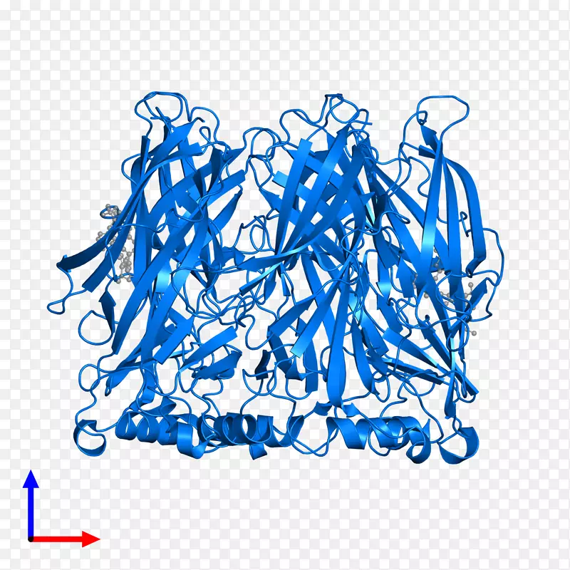 线点生物剪贴画线