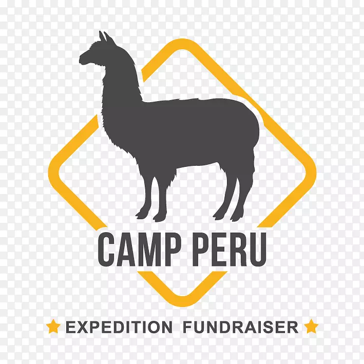 秘鲁肯尼亚难民营国际旅行骆驼旅行