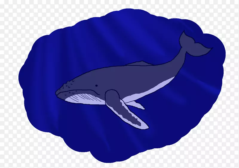 海豚甲壳动物鱼-海豚
