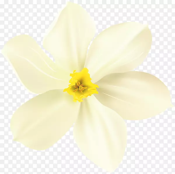 花卉剪贴画-海报装饰花卉