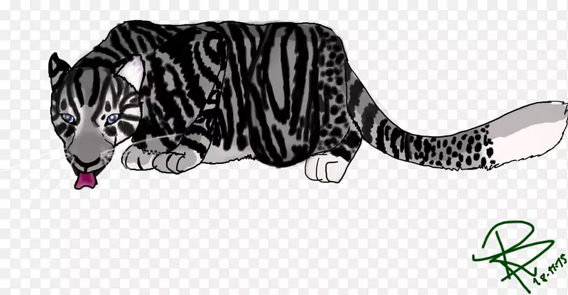 猫虎美洲狮