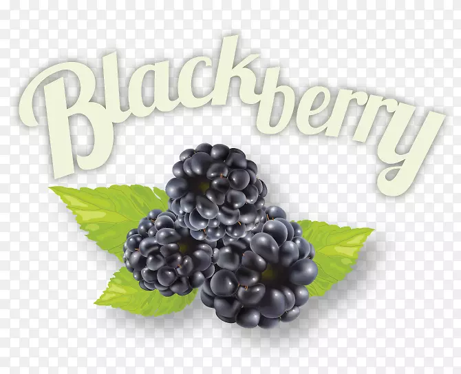 黑莓超级食品果酱配料-黑莓