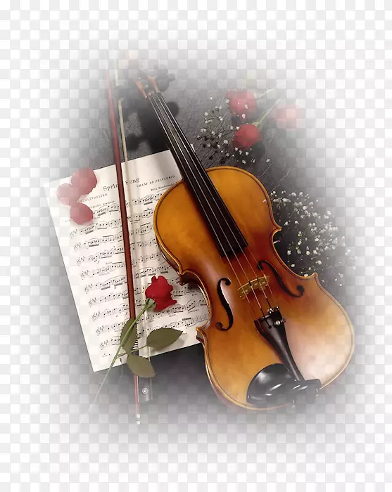 乐器小提琴桌面壁纸小提琴