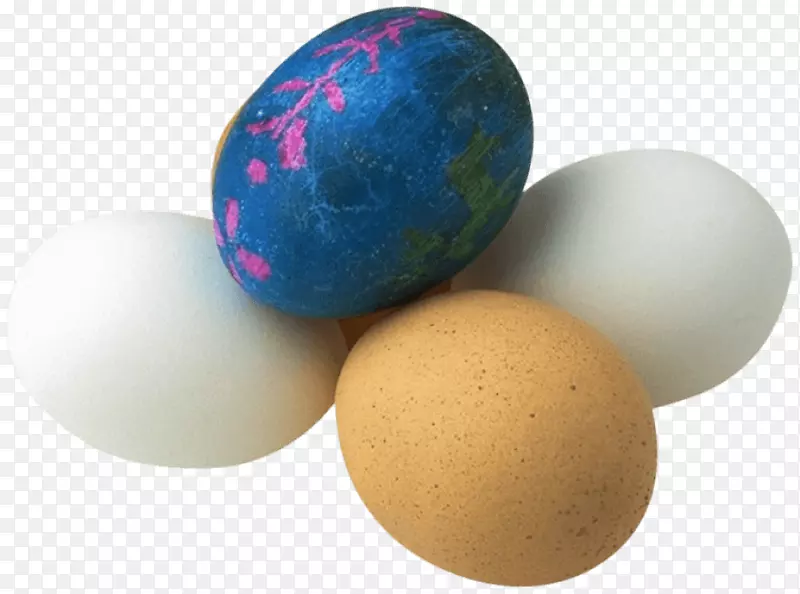 复活节彩蛋寻回-炒蛋
