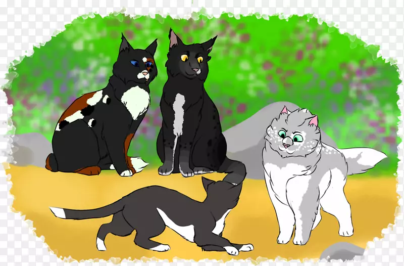 胡须，小猫，黑猫，犬科动物-小猫