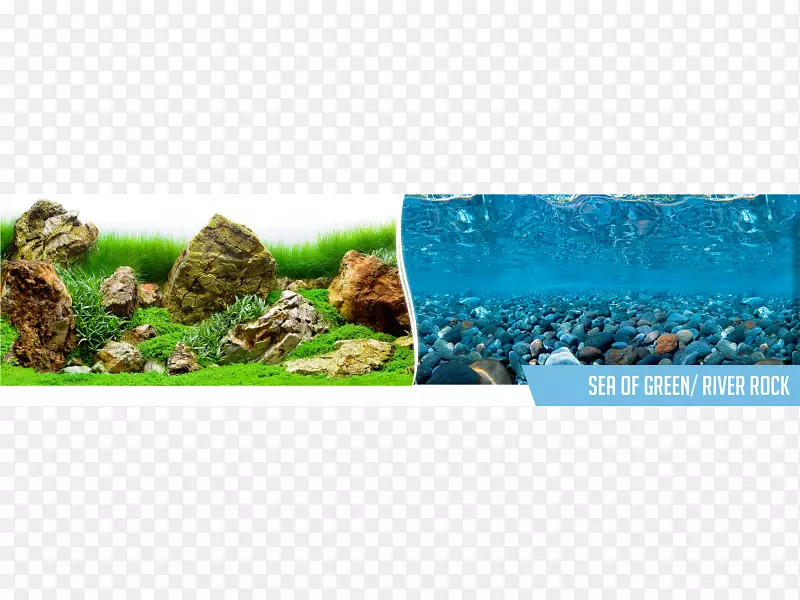 海贼之海塑料水族馆生态系统聚氯乙烯-海岩