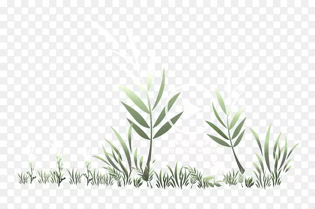 草类植物茎叶商品分枝-生态友好型