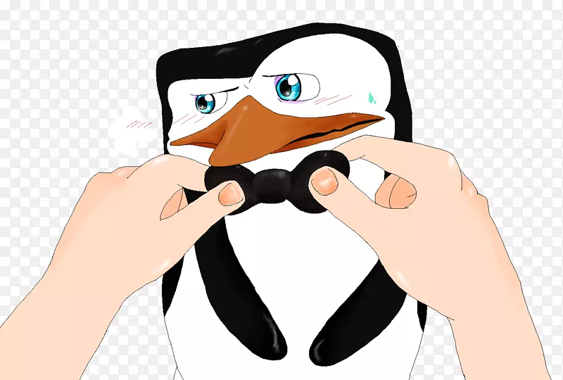 企鹅眼镜剪辑艺术-企鹅