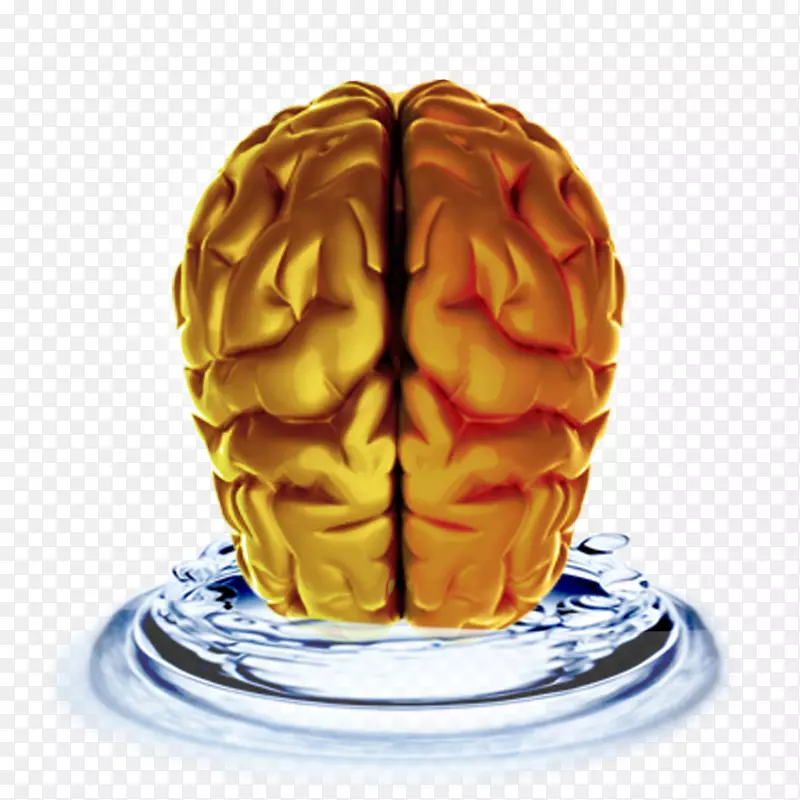 脑膳食补充记忆神经病学警觉性-大脑