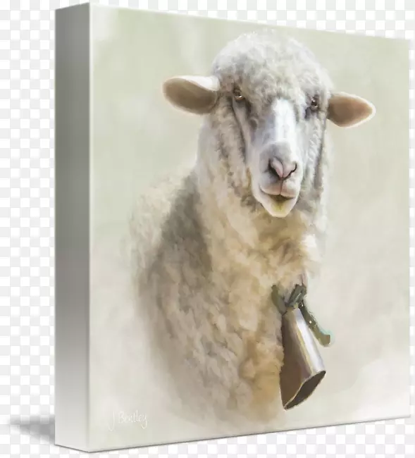 绵羊画廊包帆布艺术印刷.绵羊