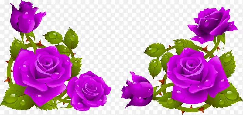 花园玫瑰，花，电脑图标，剪贴画-玫瑰