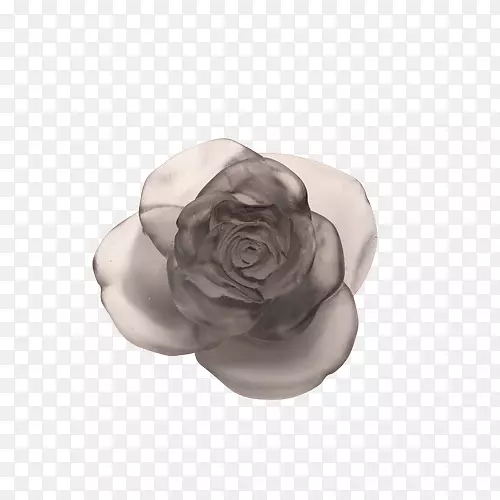 Daum花卉设计法国花卉花园玫瑰-法国