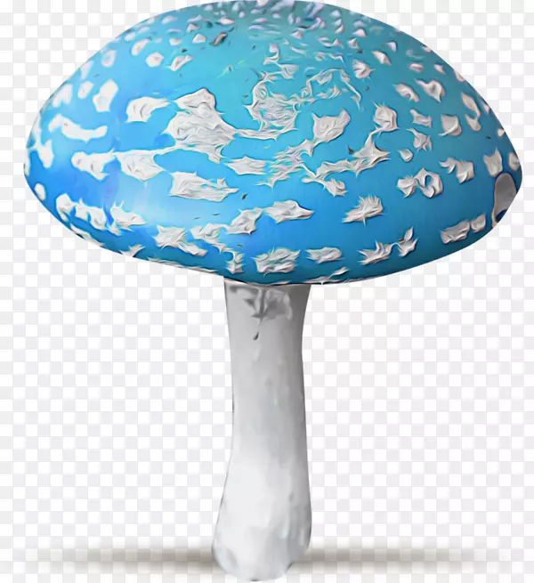 菌菇蓝菇