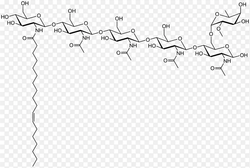 白点角字体角