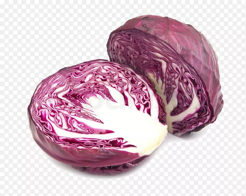红白菜紫花椰菜砧木摄影-卷心菜