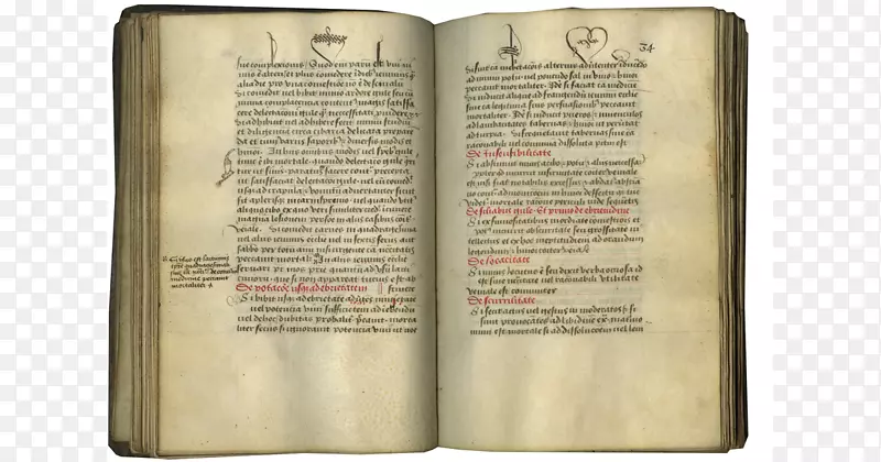 书原稿16世纪中世纪书