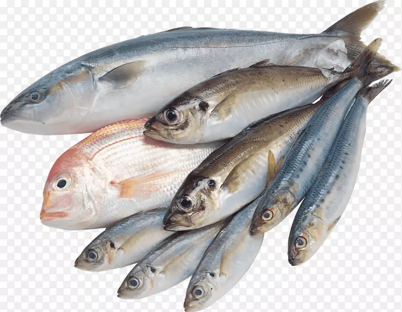 咸水鱼夹艺术-鱼