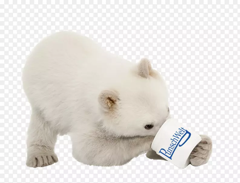 北极熊小狗摄影狗-北极熊
