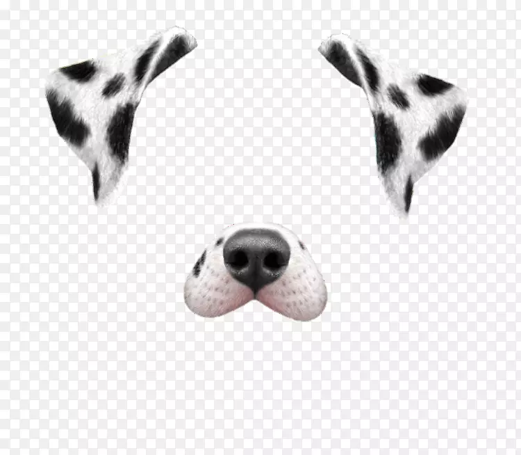 斑点狗小狗Snapchat跳舞热狗-海报美容院
