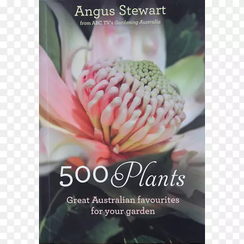 500种植物澳大利亚本土花园：实用指南RHS好的植物指南创建澳大利亚花园-澳大利亚