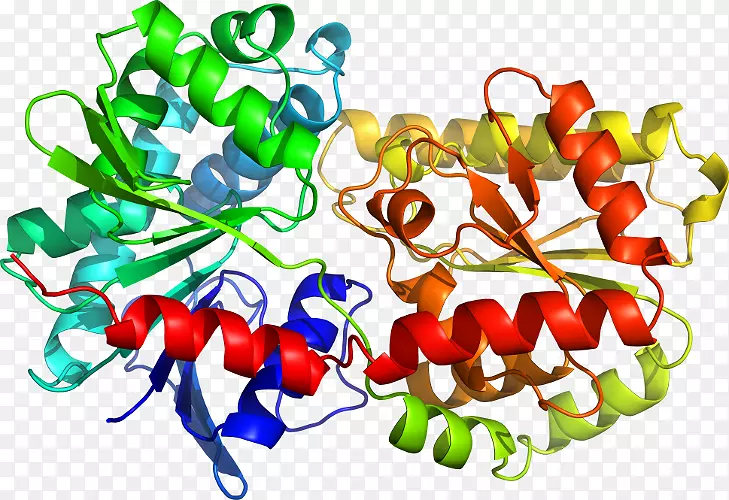 色氨酸合成酶结构生物学Tol-like受体结构-结构