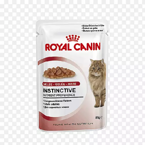 猫食狗皇家犬猫健康营养猫干食猫