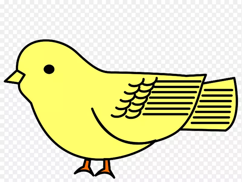 鸟类卡通画夹艺术-鸟