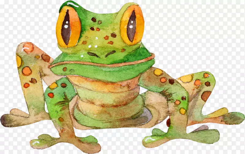 真正的青蛙蟾蜍树蛙画-青蛙