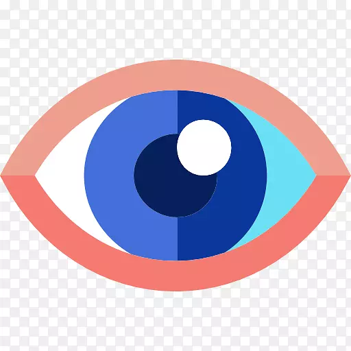 眼科医学计算机图标.眼睛
