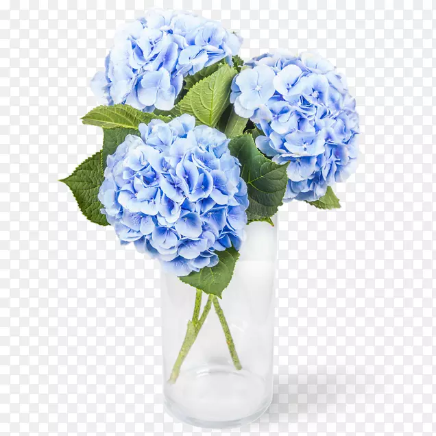 甘蓝玫瑰切花花卉设计摄影花瓶-花路