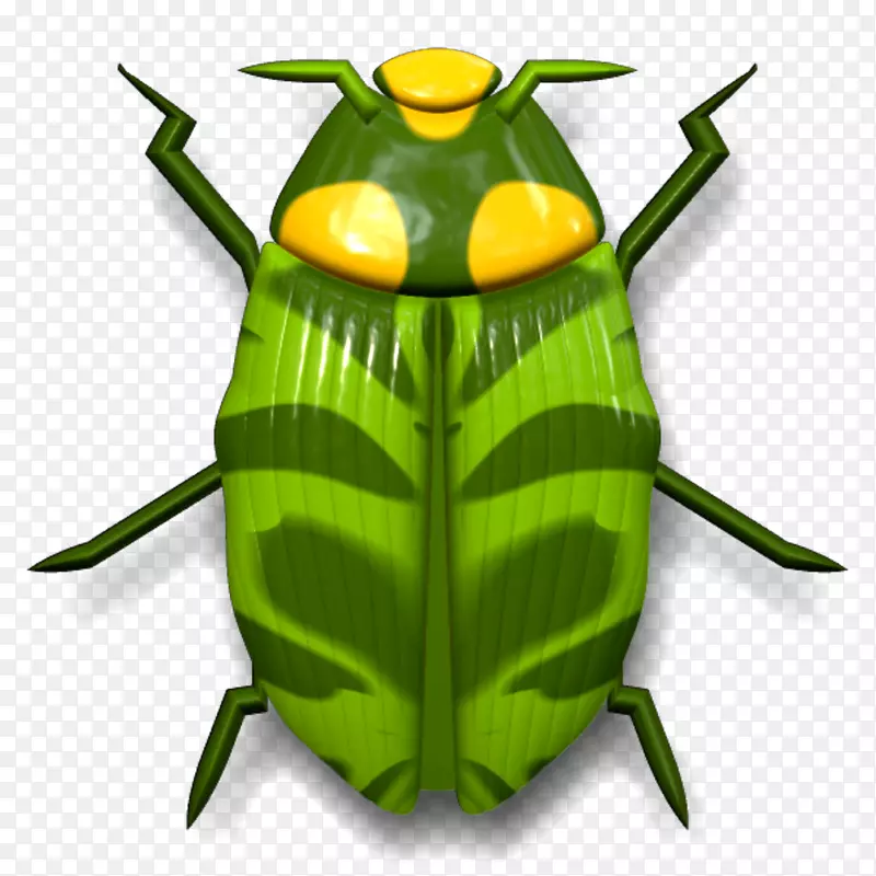 瓢虫蟑螂剪贴画-甲虫
