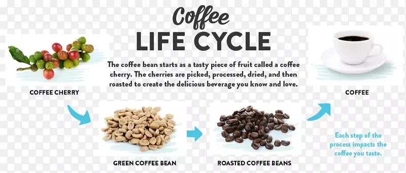 咖啡豆咖啡烘焙咖啡厅-咖啡