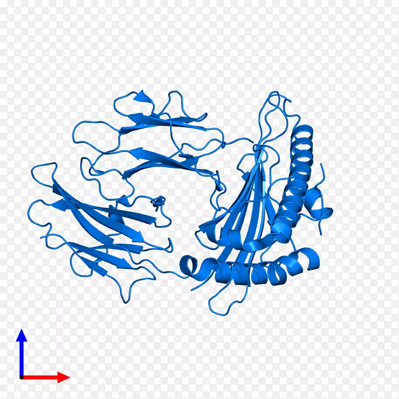 美术剪贴画-β2微球蛋白