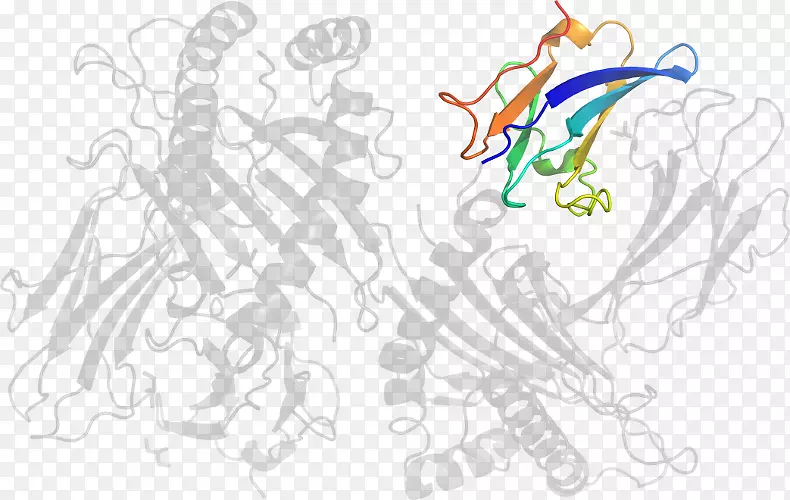 绘画艺术平面设计剪贴画-β2微球蛋白