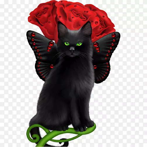 黑猫小猫仙女小猫
