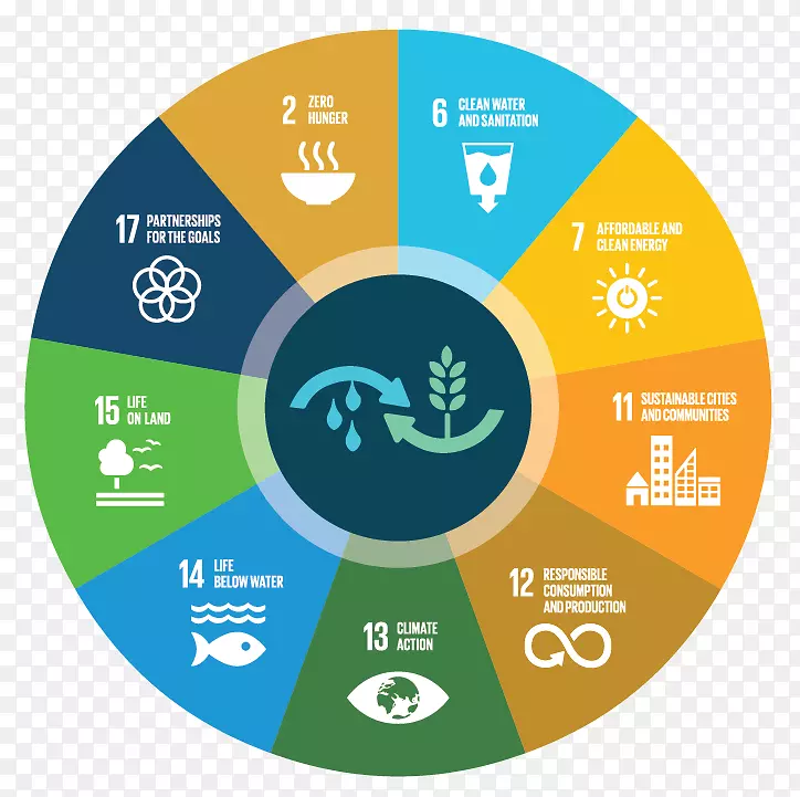 可持续消费可持续性可持续发展目标-粮食海报