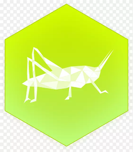 昆虫纸艺术-昆虫