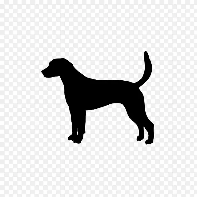 拉布拉多猎犬罗威勒犬培育法国斗牛犬-小狗