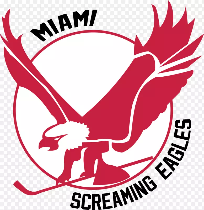 迈阿密尖叫的鹰角贝雷顿尖叫鹰冰球世界曲棍球协会费城夹克