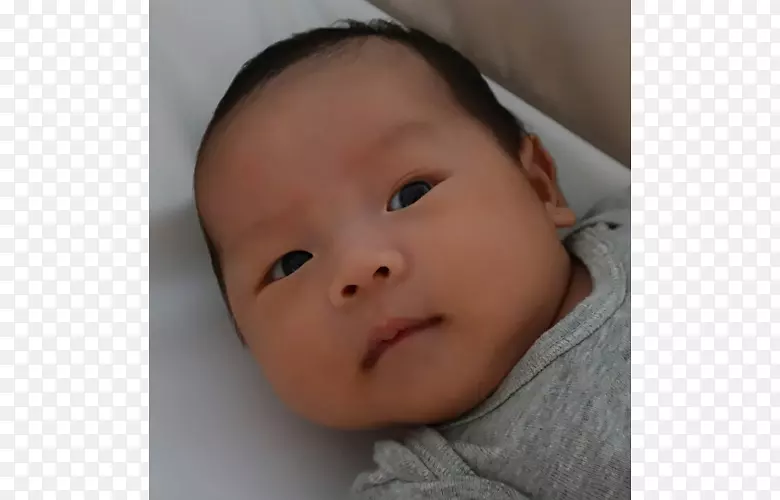 脸颊前额唇眉鼻