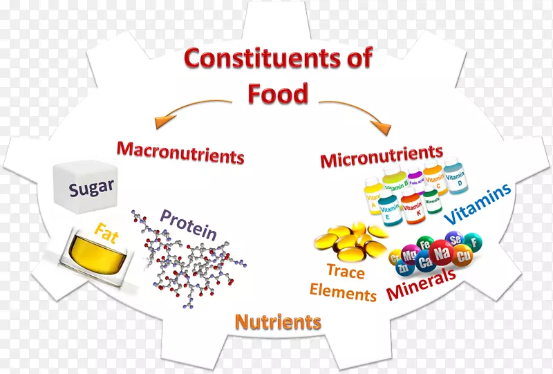 微营养素食物营养健康