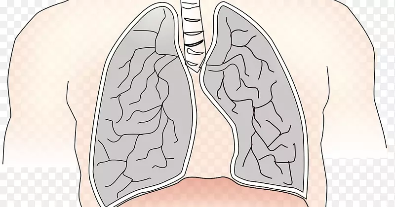 肺慢性阻塞性肺疾病鼻大拇指经络鼻