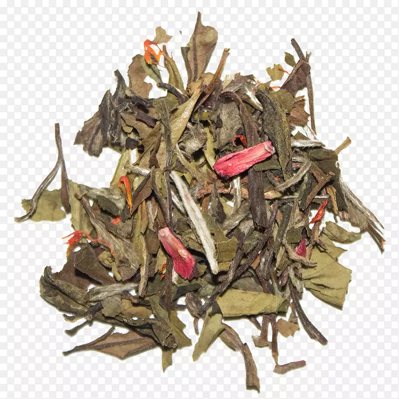 尼尔吉里茶hōJicha茶树-白茶
