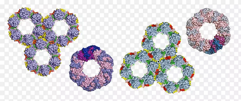 人体珠宝字体.病毒细胞详细图