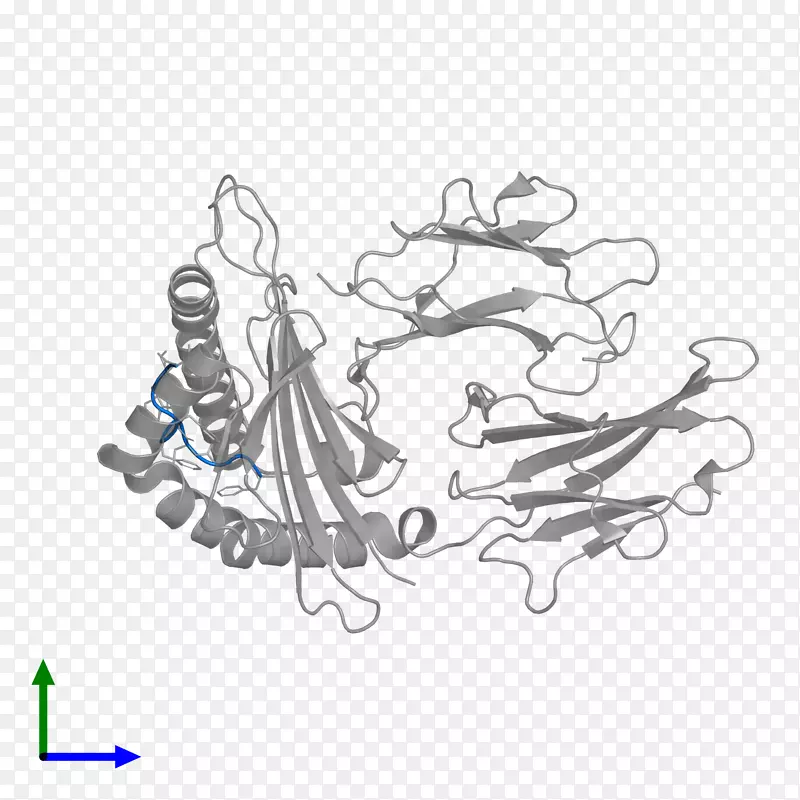 人白细胞抗原hla-b hla-g mhcⅠ级主要组织相容性复合物-β2微球蛋白