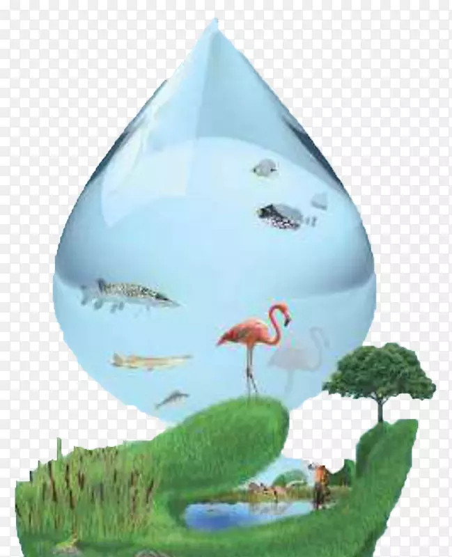 世界湿地日拉姆萨尔、马赞达兰世界水日-水