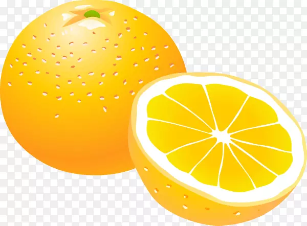 橙色剪贴画-水果载体