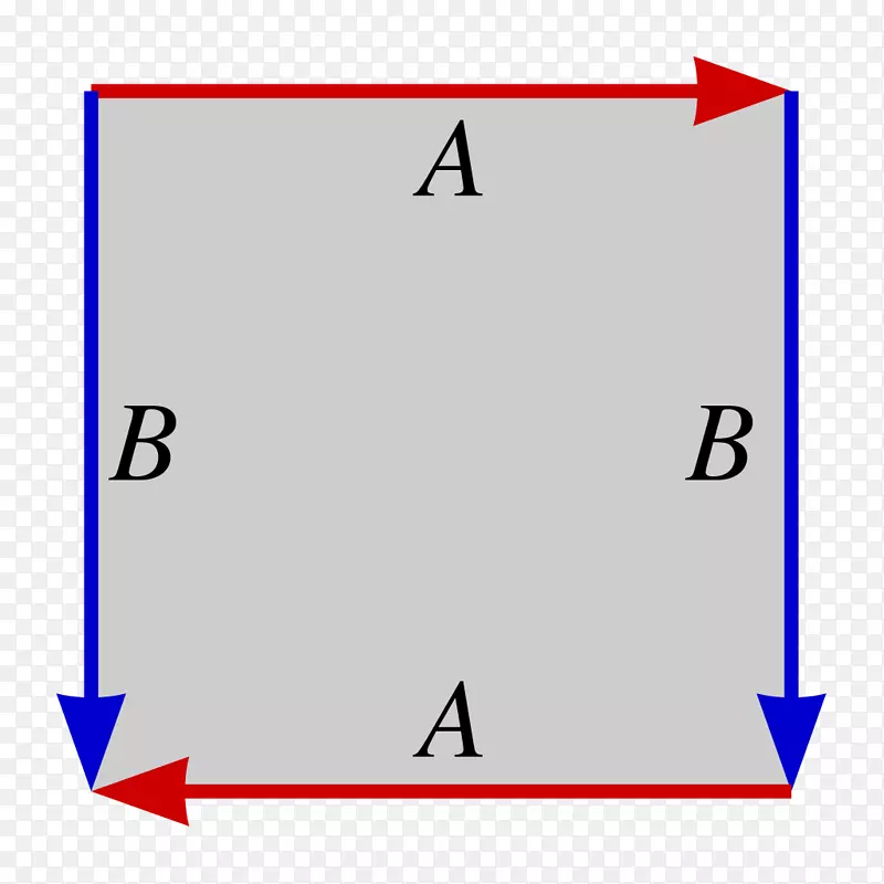 M bius条实射影平面拓扑Klein瓶-数学